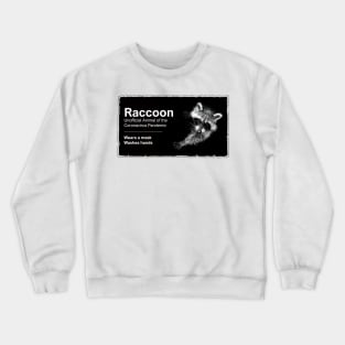 Raccoon Crewneck Sweatshirt
